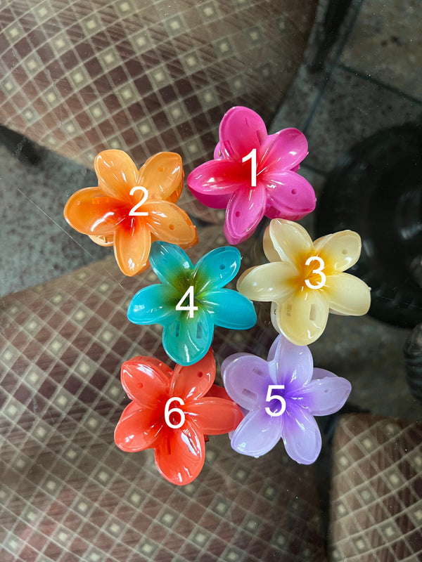 Claw Clips (Medium)